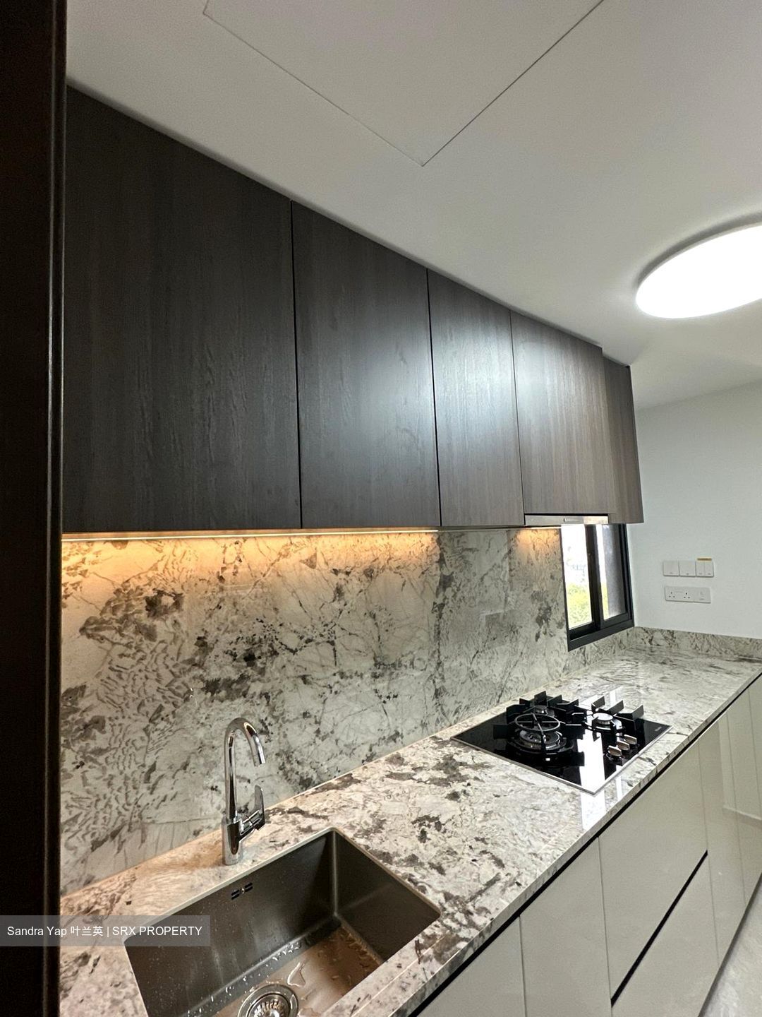 Tembusu Grand (D15), Condominium #576201211